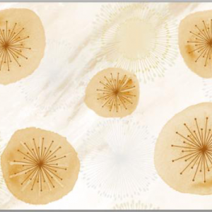 Gạch ốp tường Trường Thịnh WALL TILES TT36021-3